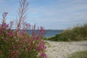 hach