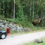 EIN EEEEEEELCH!!!! :-)