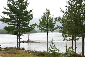 Sieht aus wie in Schweden, ist aber im Setesdal.