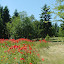 The Sycamore Retreat's extensive gardens attract lots of wildlife.