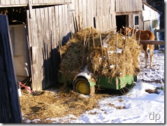 trailer load of horse manure