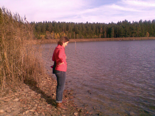 mitterteich mitterteich bavaria patterns