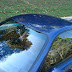 DSC04216.JPG
