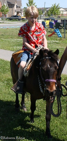 [j pony[6].jpg]