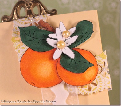 oranges bookmark closeup