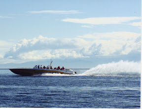 Eagle Wing Tours vessel Goldwing at cruising speed along the Victoria waterfront