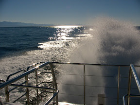 Boarding & viewing platform on Goldwing with the Olympic Mountains in the background