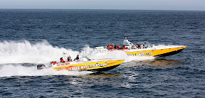 boats 1.JPG