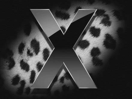 [leopard[2].jpg]