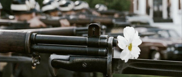 [gun_flower[9].jpg]