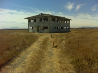 DSC01076.JPG Photo