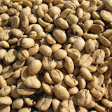 Coffee Farms