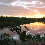 Monterrico
