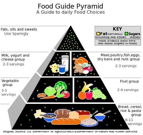 [Food_Pyramid[8].png]
