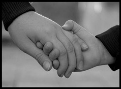 6929612Dlarge 6929612Dlarge