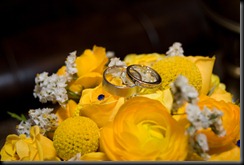 DSC_2593-1