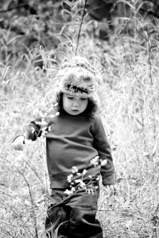 [DSC_2395[2].jpg]