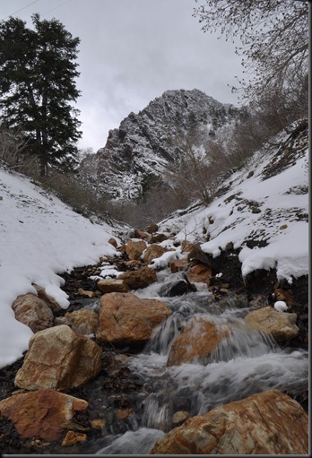 canyonshots 092