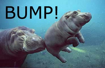http://lh3.ggpht.com/_sszgDXjyllE/S-oIRbsTLsI/AAAAAAAAABM/rov9JizpTgE/s800/bump1.jpg