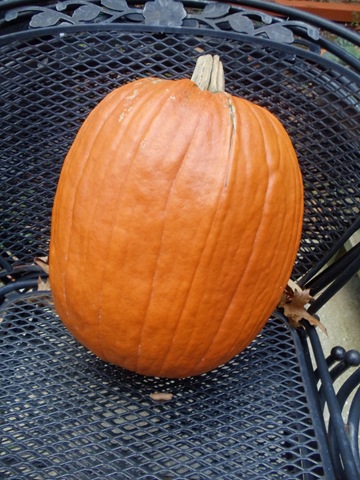 [DSC004402.jpg]