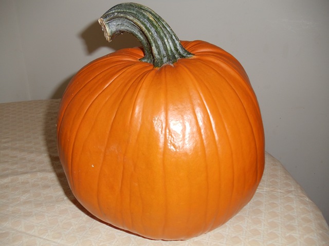 [DSC004372.jpg]