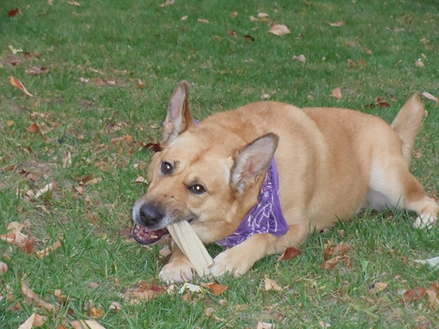 [DSC004462.jpg]