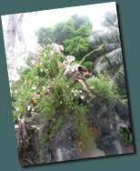Guam 2 & 3 038 Guam 2 & 3 038