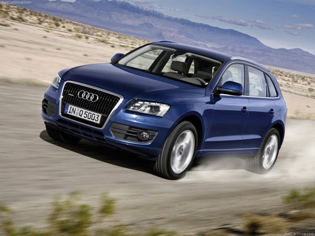 [AudiQ5_2009_1024x768_wallpaper_098.jpg]