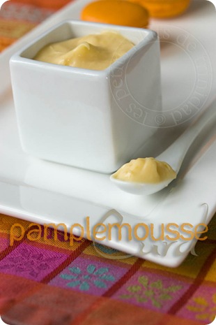 macaronpamplemoussecurd copie macaronpamplemoussecurd copie