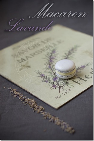 lavandemacaron2 018 copie lavandemacaron2 018 copie