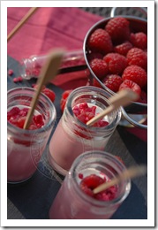 pannacotta framboise2