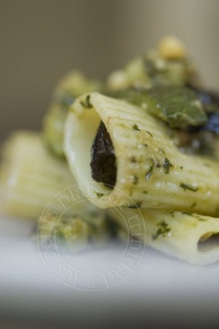 [rigatoni34.jpg]