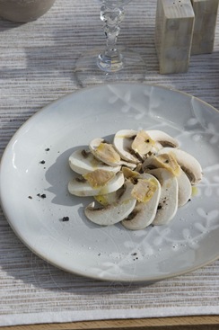 [CHAMPIGNON4[3].jpg]