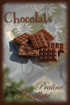[chocolatpraliné1 copie[3].jpg]