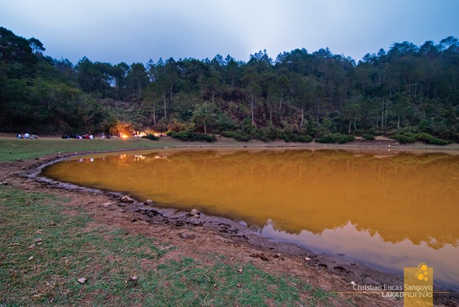 Dusk at Lake Danum