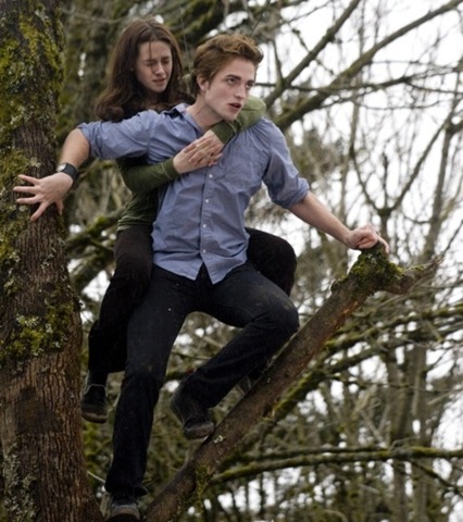 [twilight-backlot-21[2].jpg]