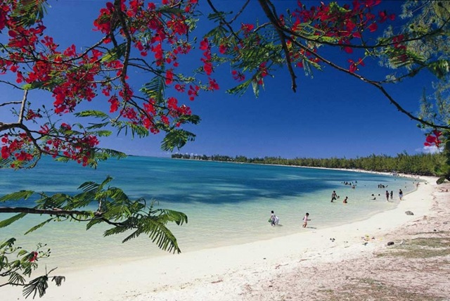 [mauritius_011747_full[3].jpg]