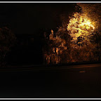 dsc_5792.jpg
