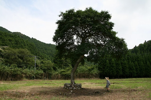 陣出原3