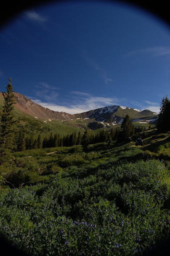DSC_0052.JPG