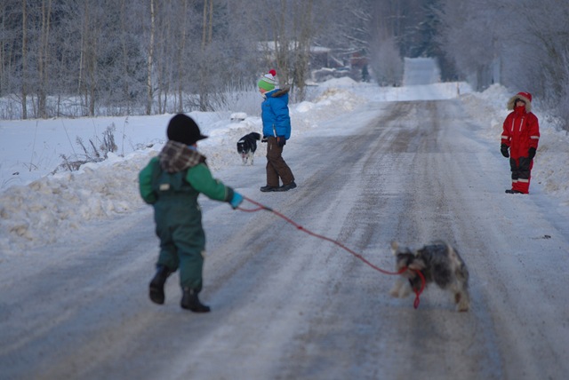 [DSC_6537[3].jpg]
