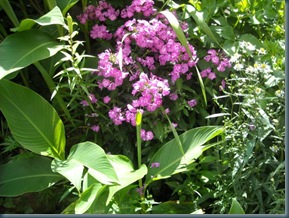flores cubresita