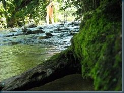 rio los reartes