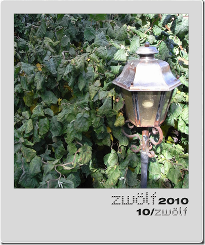 10-zwoelf2010-polaroid