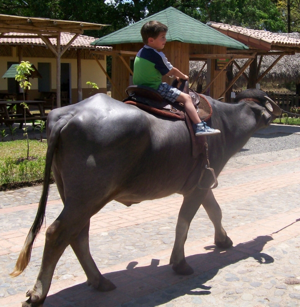  Panaca   A Hot Adventure!