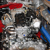 IMG_0392.jpg