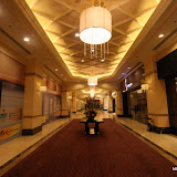 IMG_3755.jpg