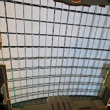 IMG_3737.jpg