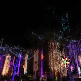ayala triangle christmas (34).JPG
