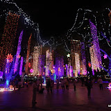 ayala triangle christmas (38).JPG